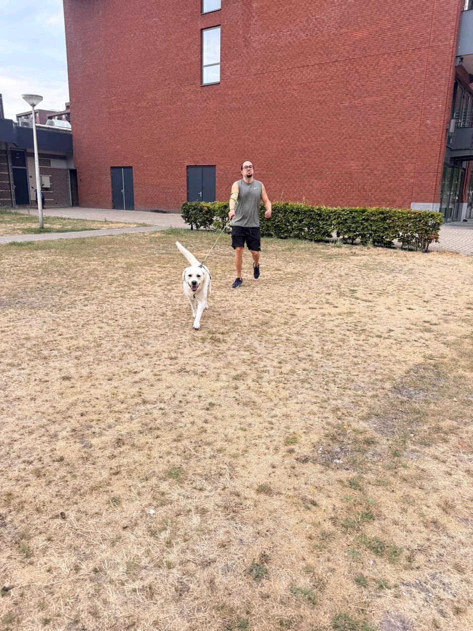 Santiago, pet sitter in Delft, photo 4