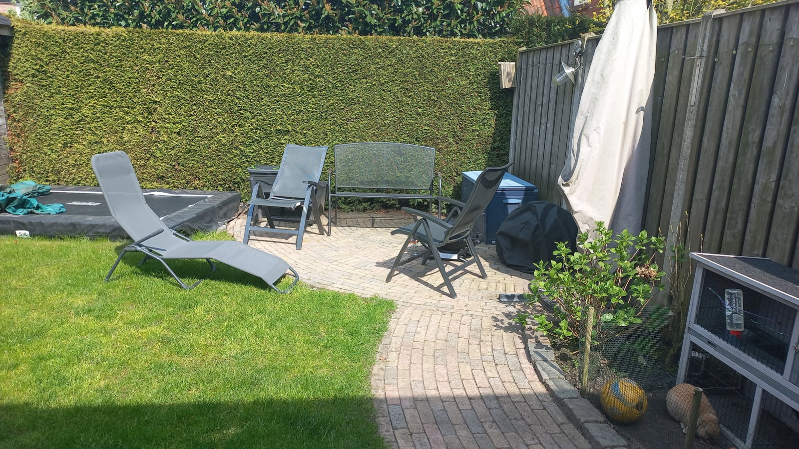 Coline, pet sitter in Weerselo, photo 3
