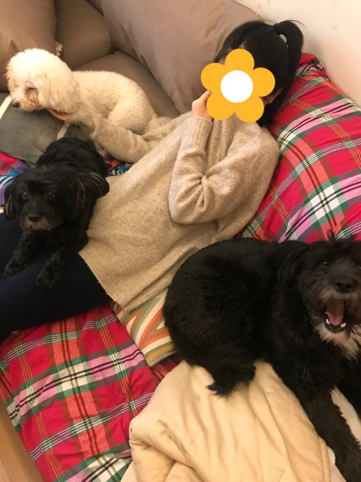 Ann, pet sitter in Amsterdam, photo 2