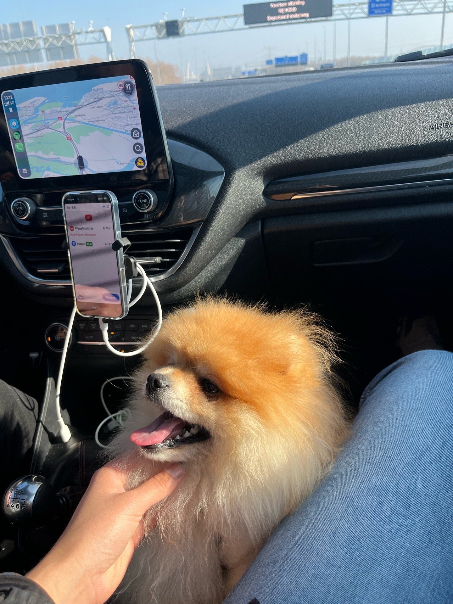 Celine, pet sitter in Amsterdam, photo 1