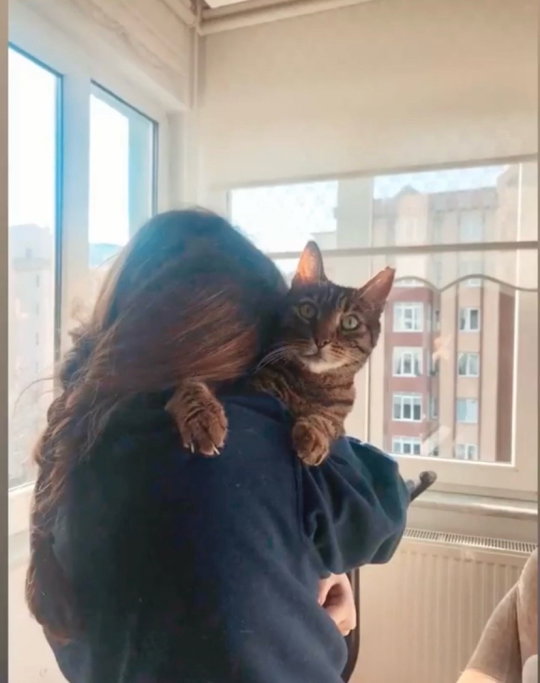 Letisya, pet sitter in Amsterdam, photo 4
