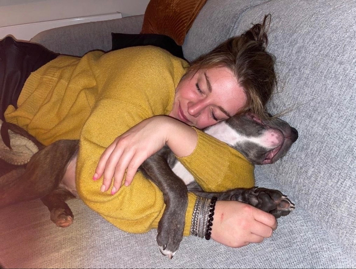 Tara, pet sitter in Mijdrecht, photo 1