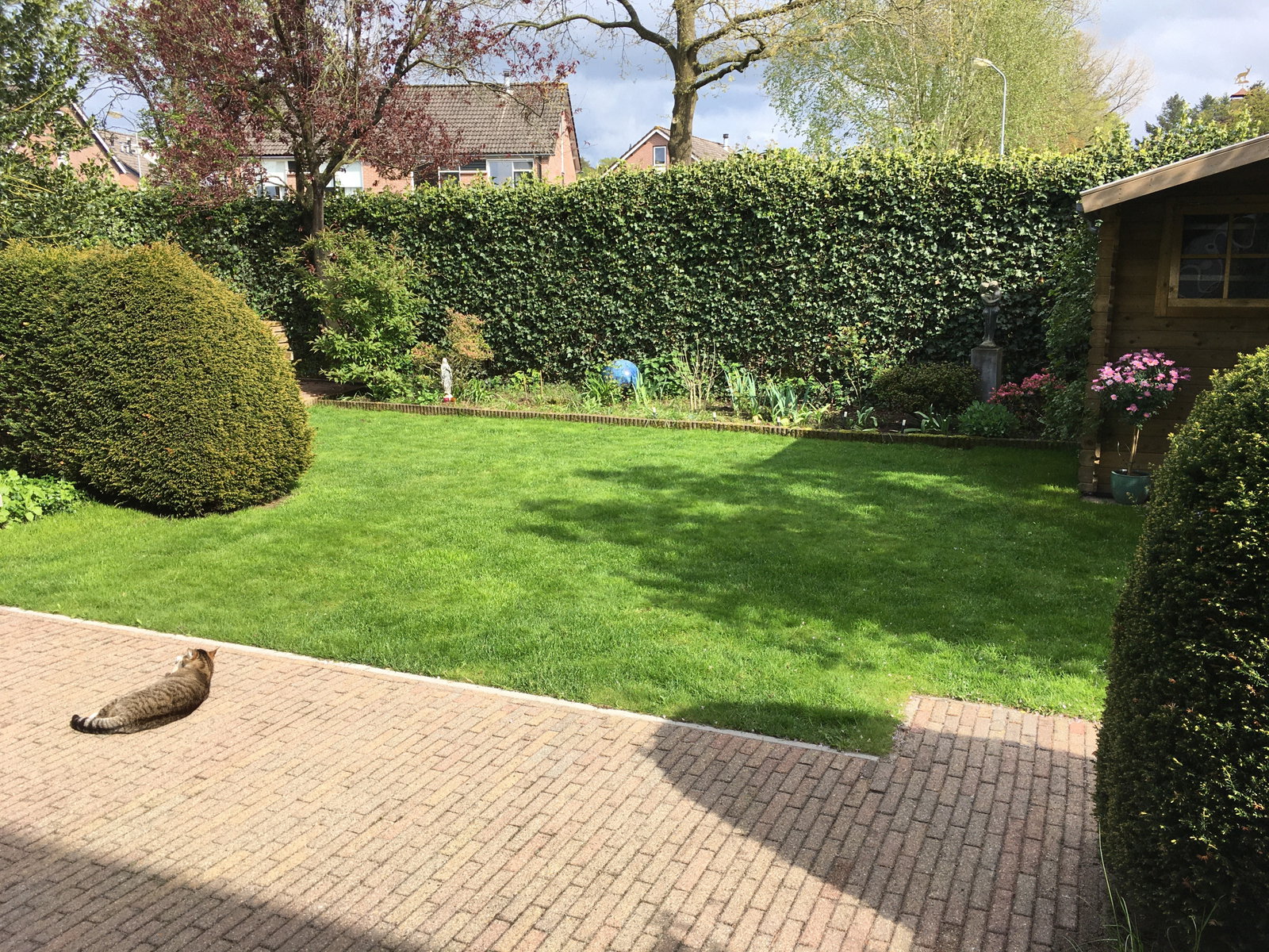 Wietske, pet sitter in Ermelo, photo 1
