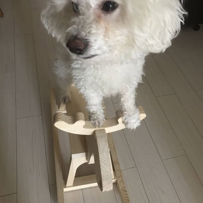 Ann, pet sitter in Amsterdam, photo 5