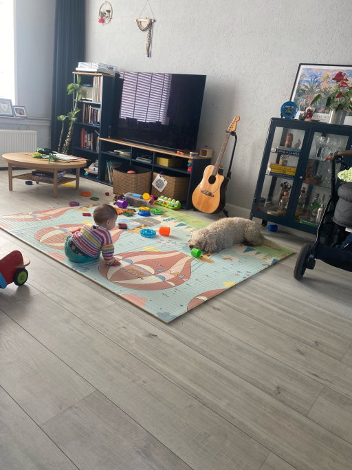 Natalia, pet sitter in Vlaardingen, photo 4