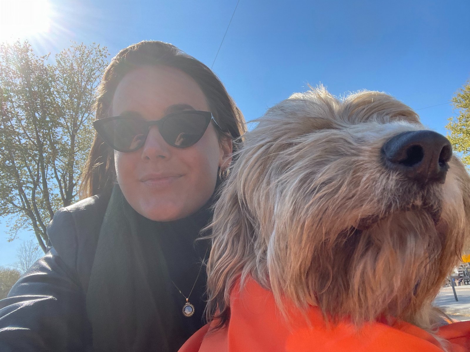 Sanne, pet sitter in Amsterdam, photo 3