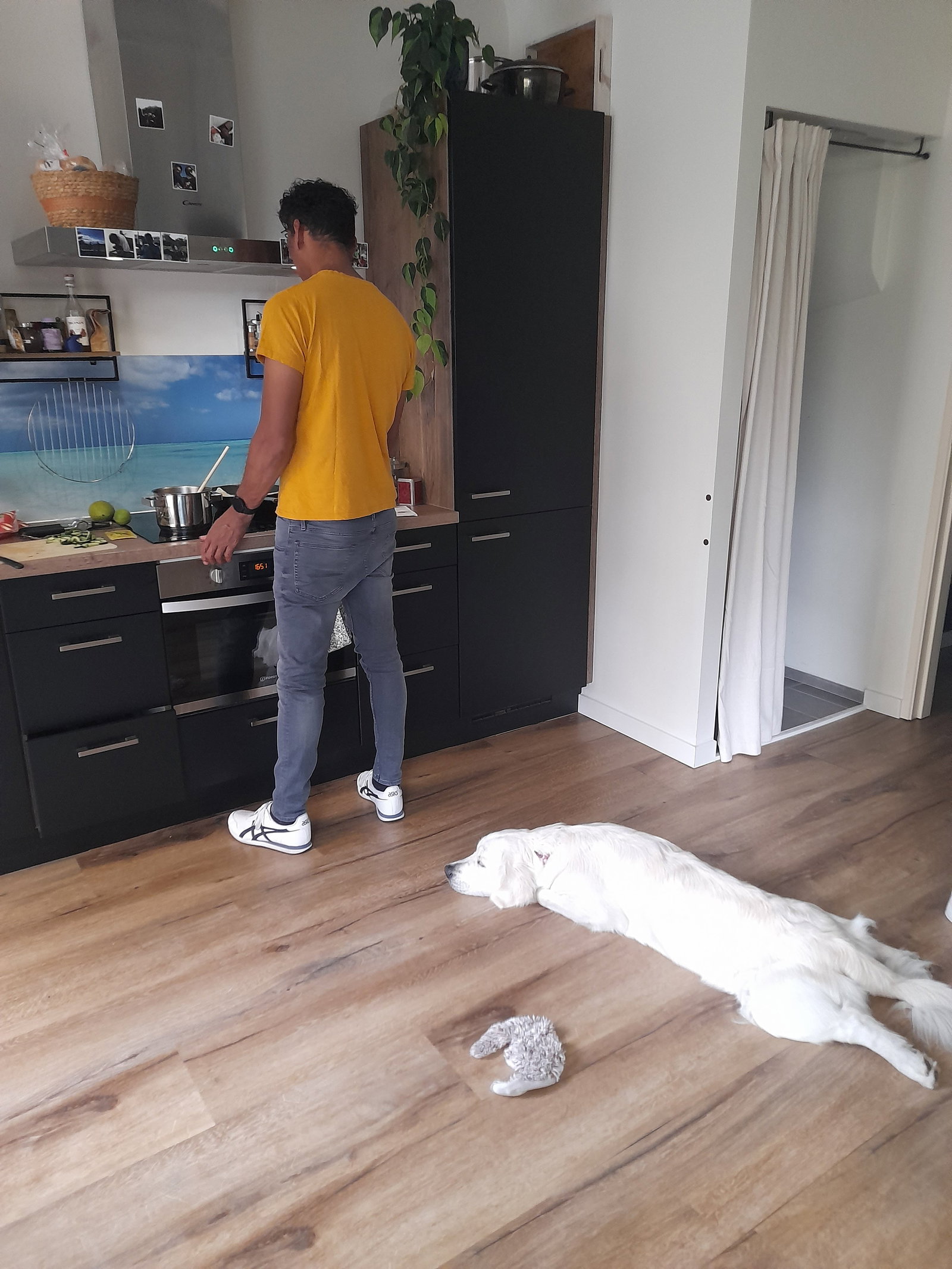 Laura, pet sitter in Leiden, photo 1