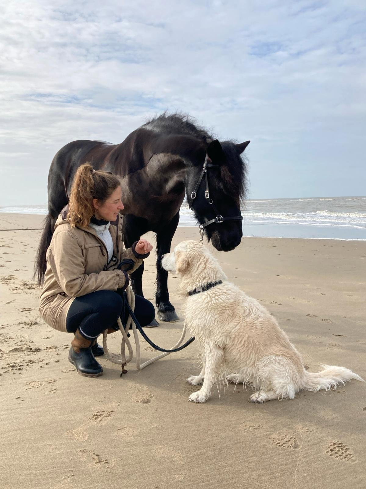 Laura, pet sitter in Leiden, photo 4