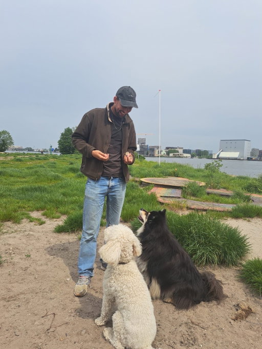 Rutger, pet sitter in Amsterdam, photo 4