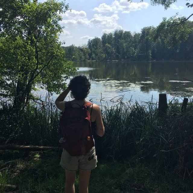Rosa, Tiersitter in Leipzig, Foto 3
