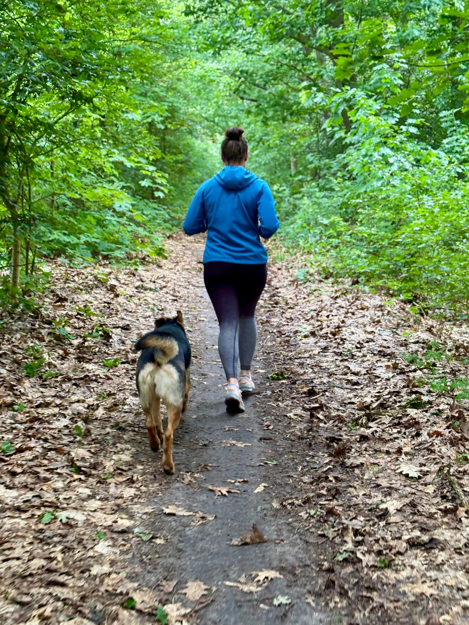 Leslie, pet sitter in Nijmegen, photo 5