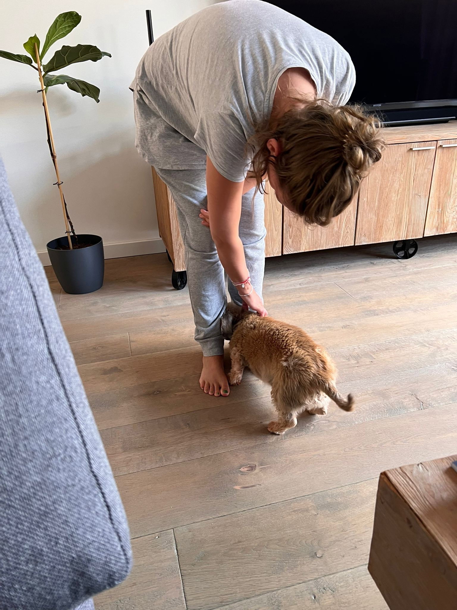Marieke, pet sitter in 's-Hertogenbosch, photo 3