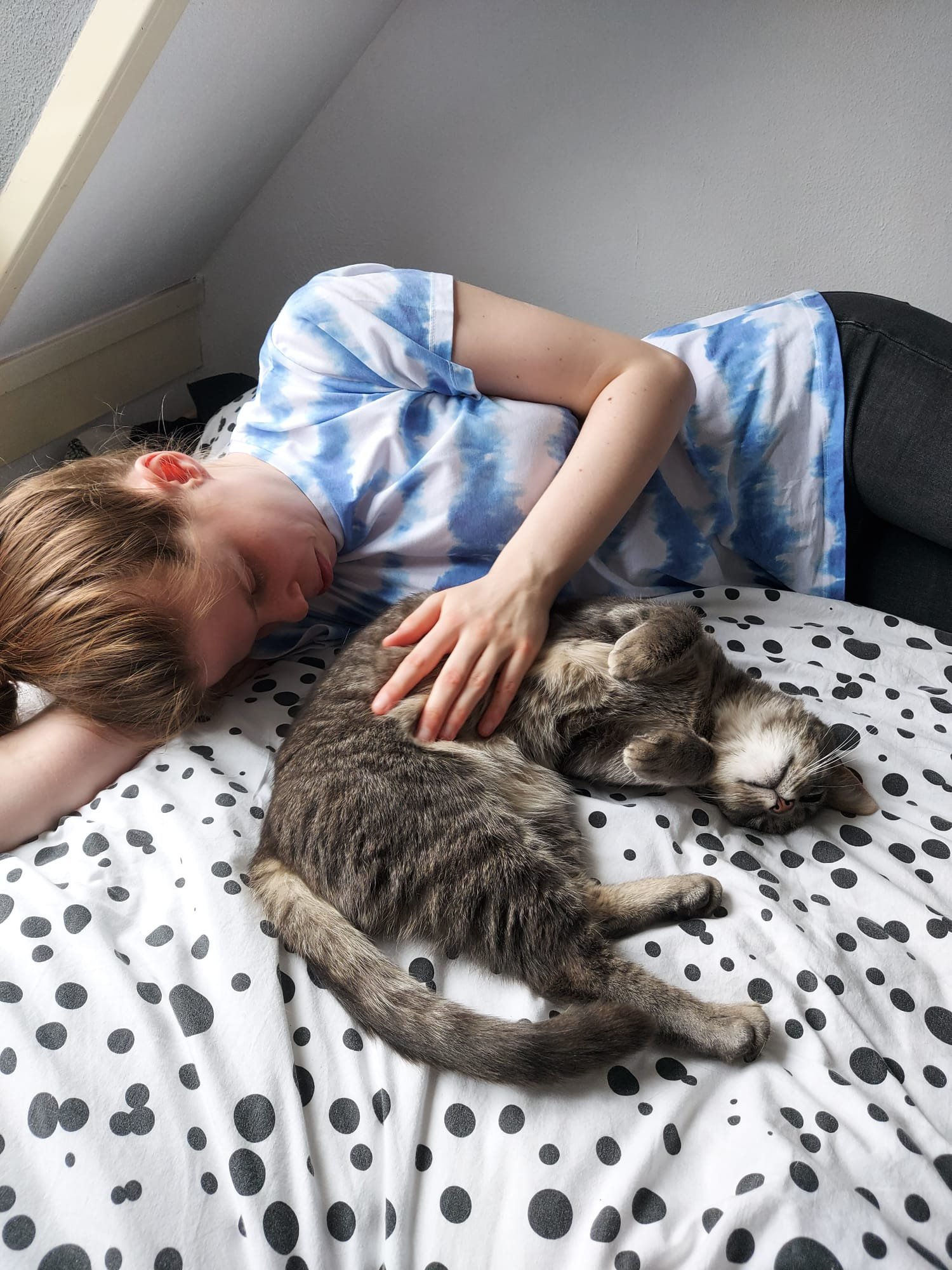 Yara, pet sitter in 's-Gravenhage, photo 1