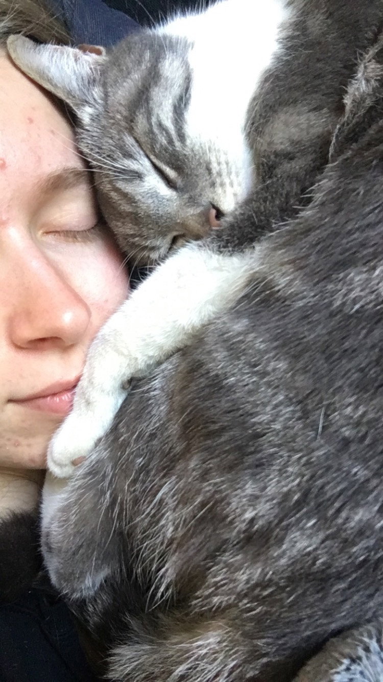 Linde, pet sitter in München, photo 2