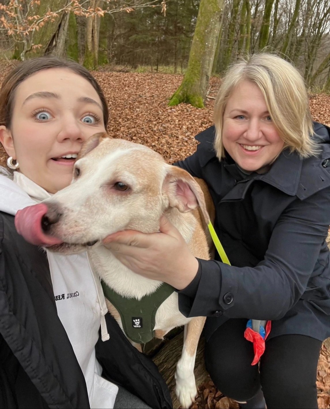 Mariia, pet sitter in Diemen, photo 2