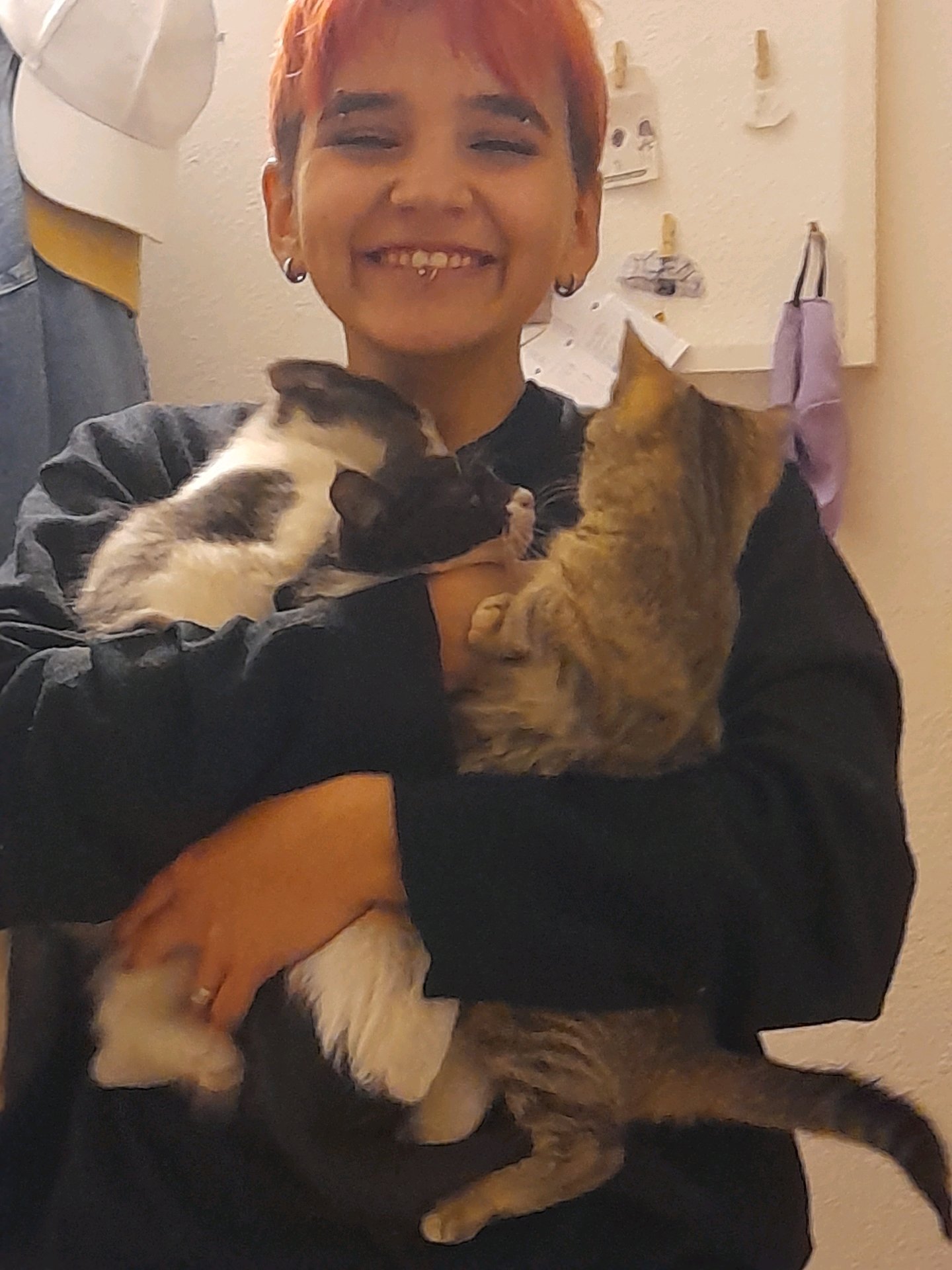 Cuyén, pet sitter in Veldhoven, photo 5