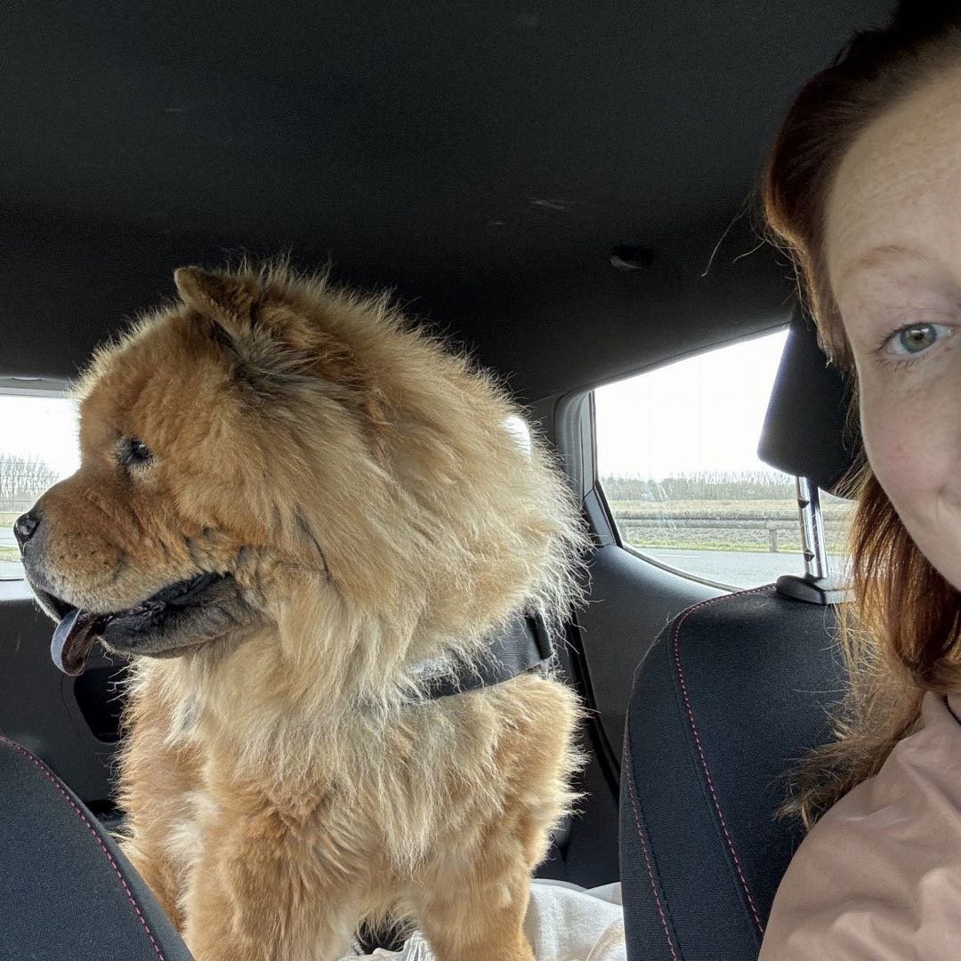Mandy, pet sitter in Schijndel, photo 3