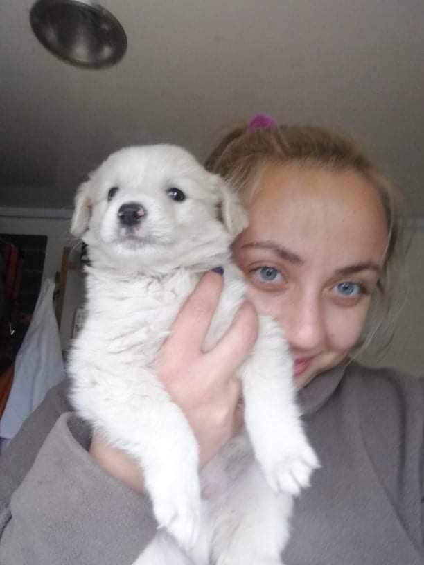 Maria, pet sitter in 's-Gravenhage, photo 3