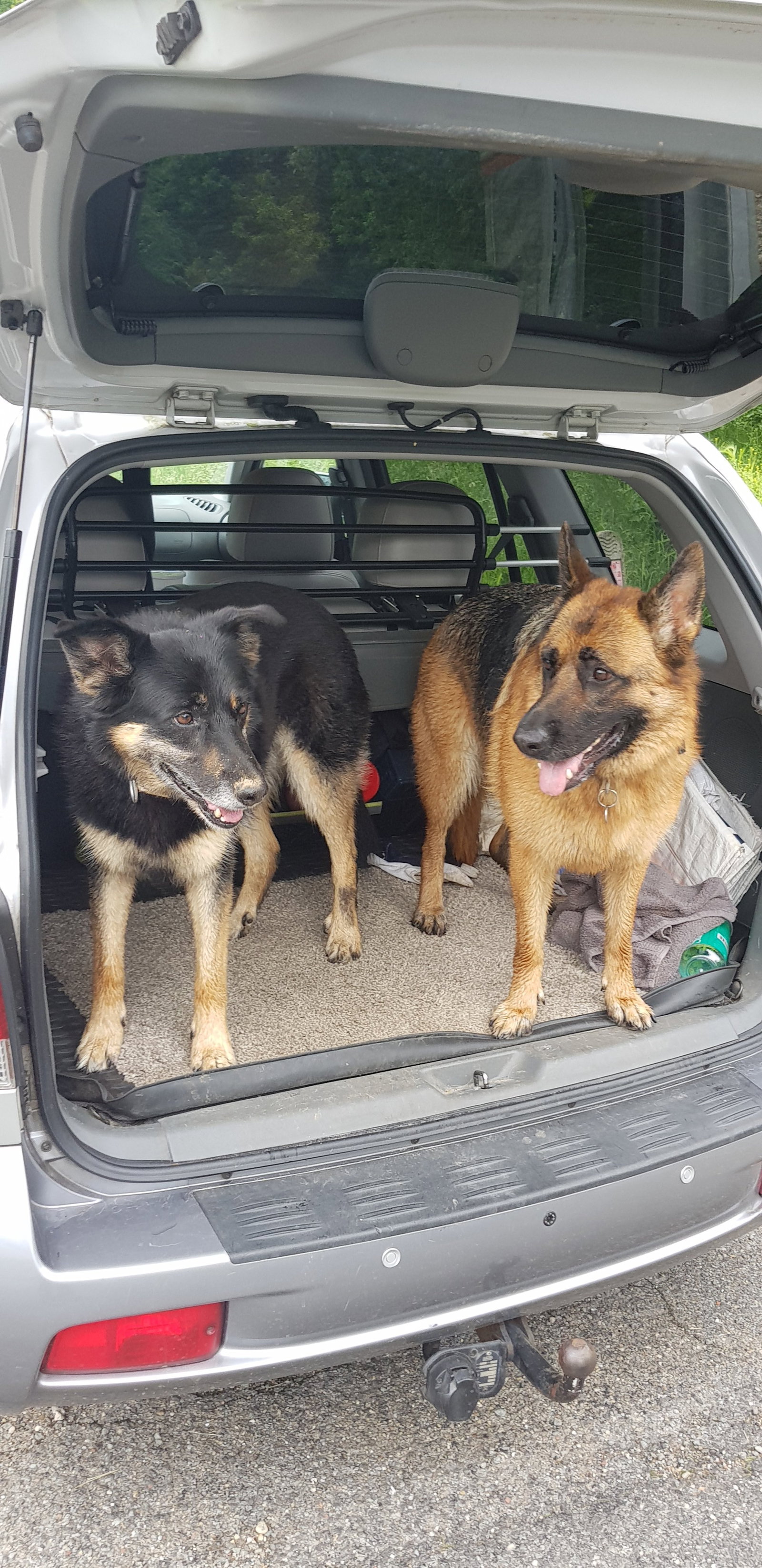 Nathalie, pet sitter in Heerlen, photo 2