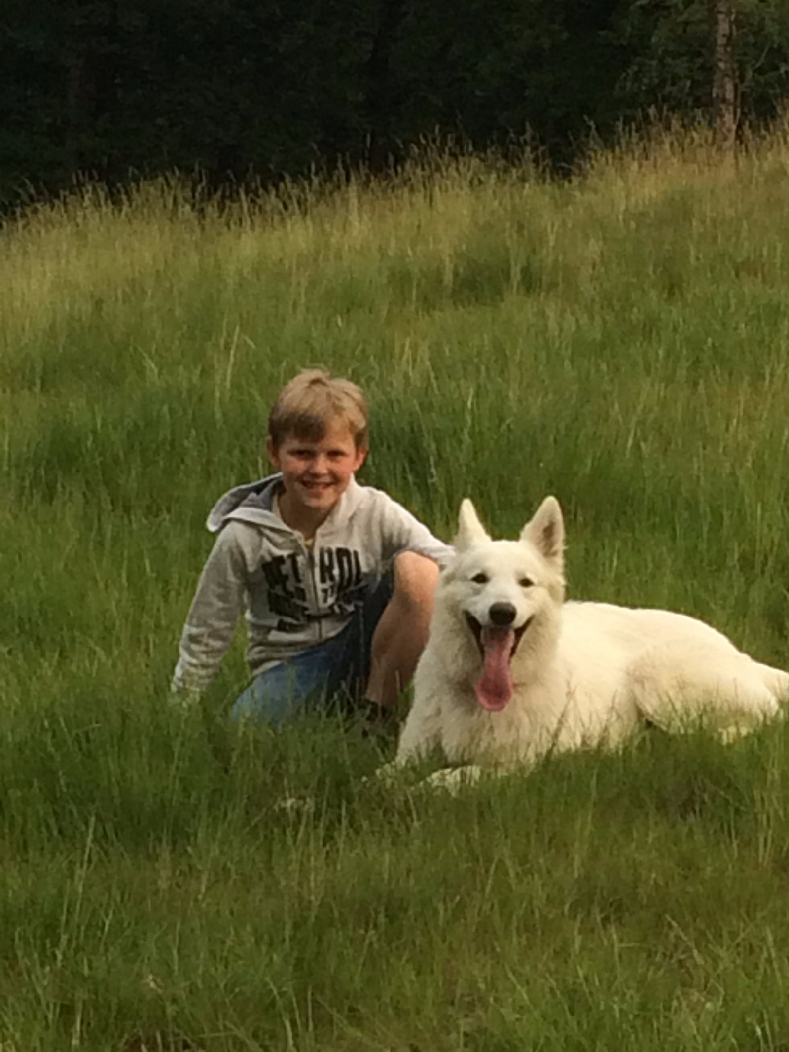 Helen, pet sitter in 's-Gravenhage, photo 2