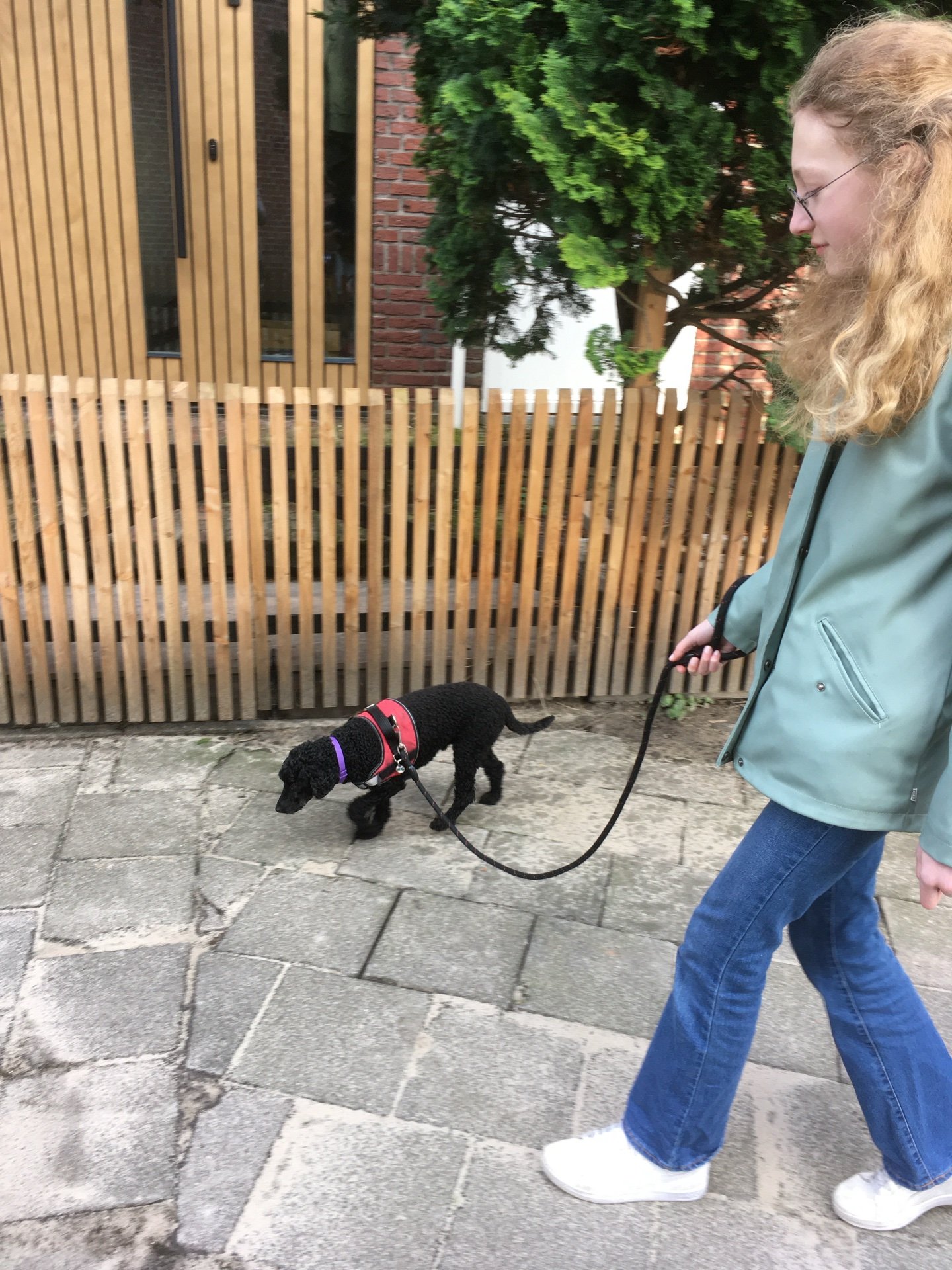 Julia, pet sitter in Wassenaar, photo 3
