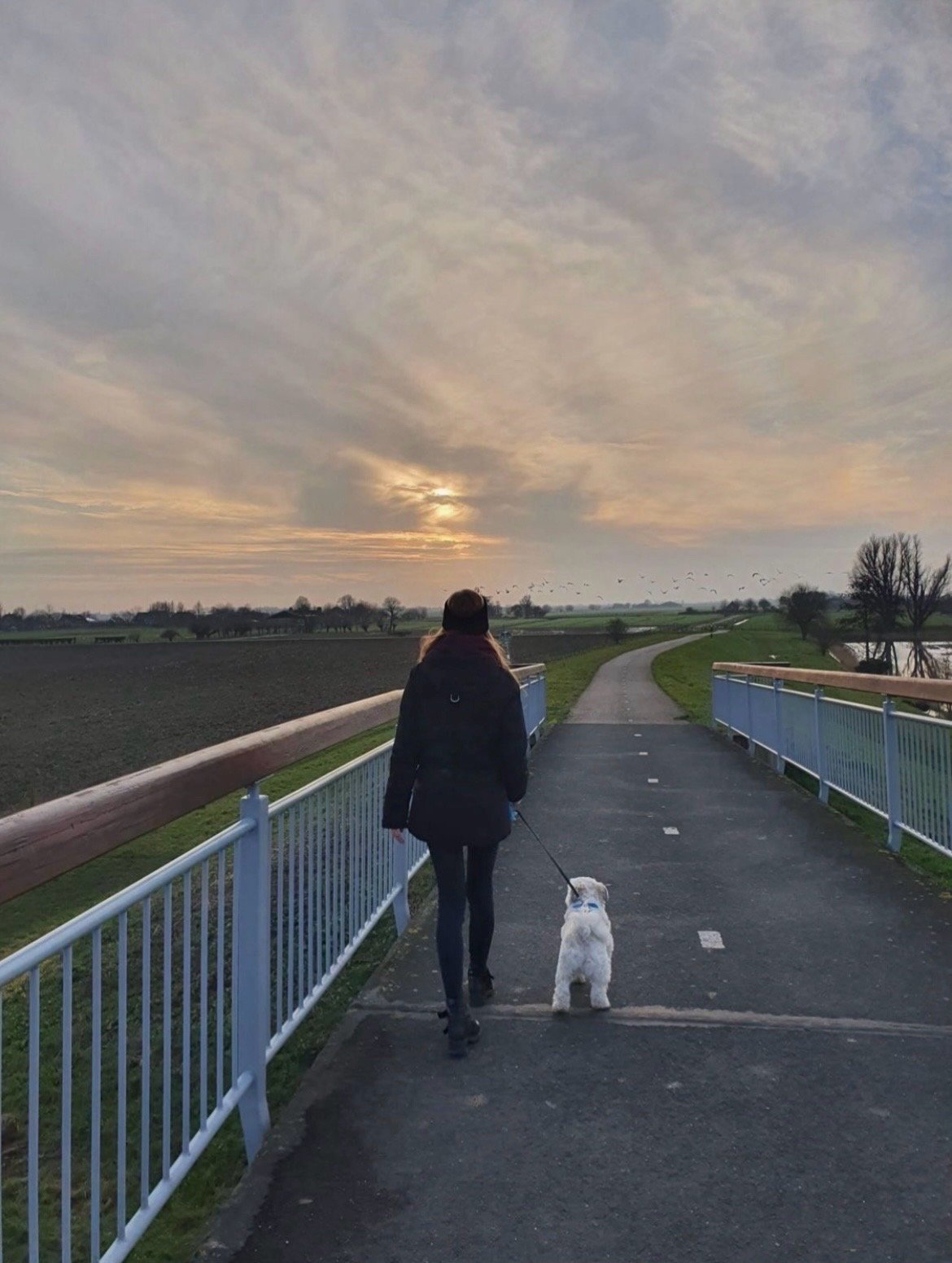 Esther, pet sitter in Hoofddorp, photo 3