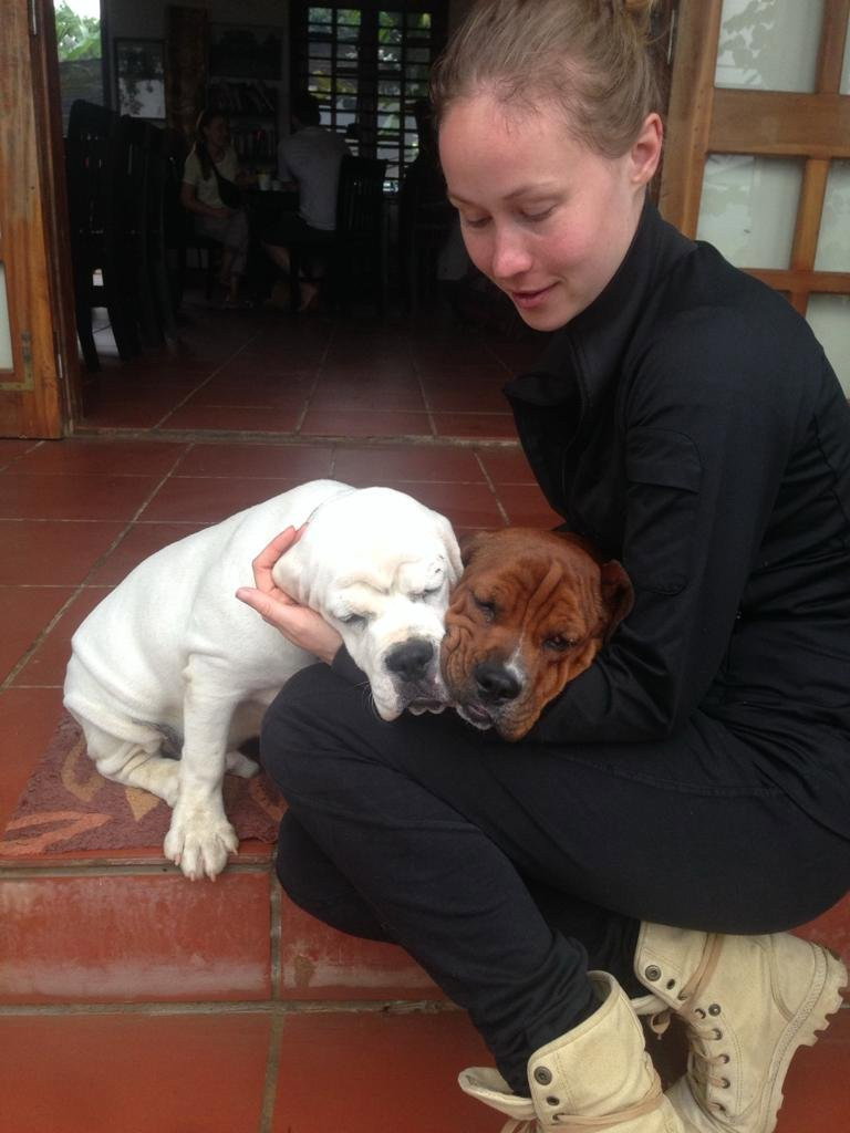 Tamara, pet sitter in Rotterdam, photo 1
