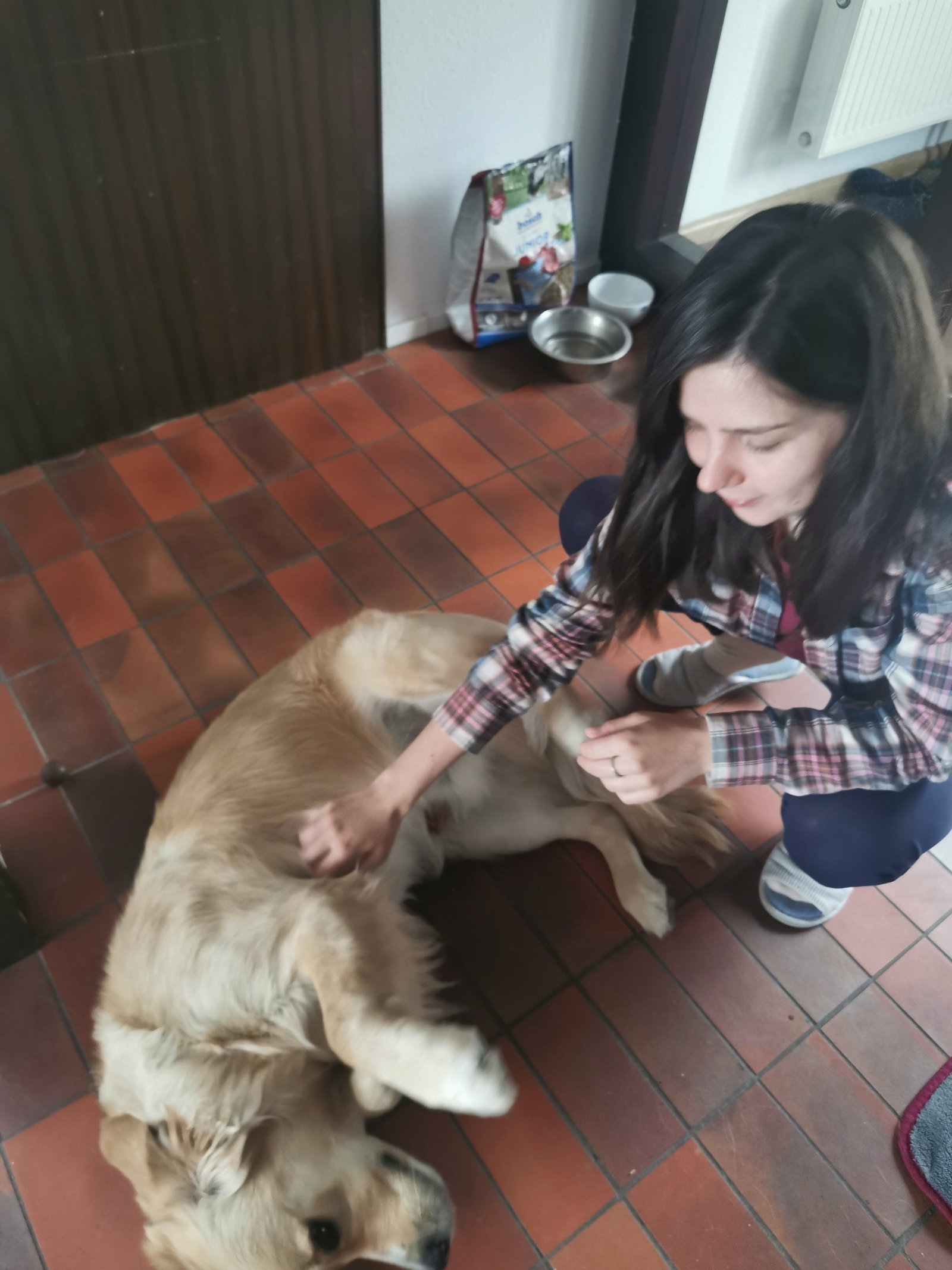 Alina, pet sitter in Rotterdam, photo 3