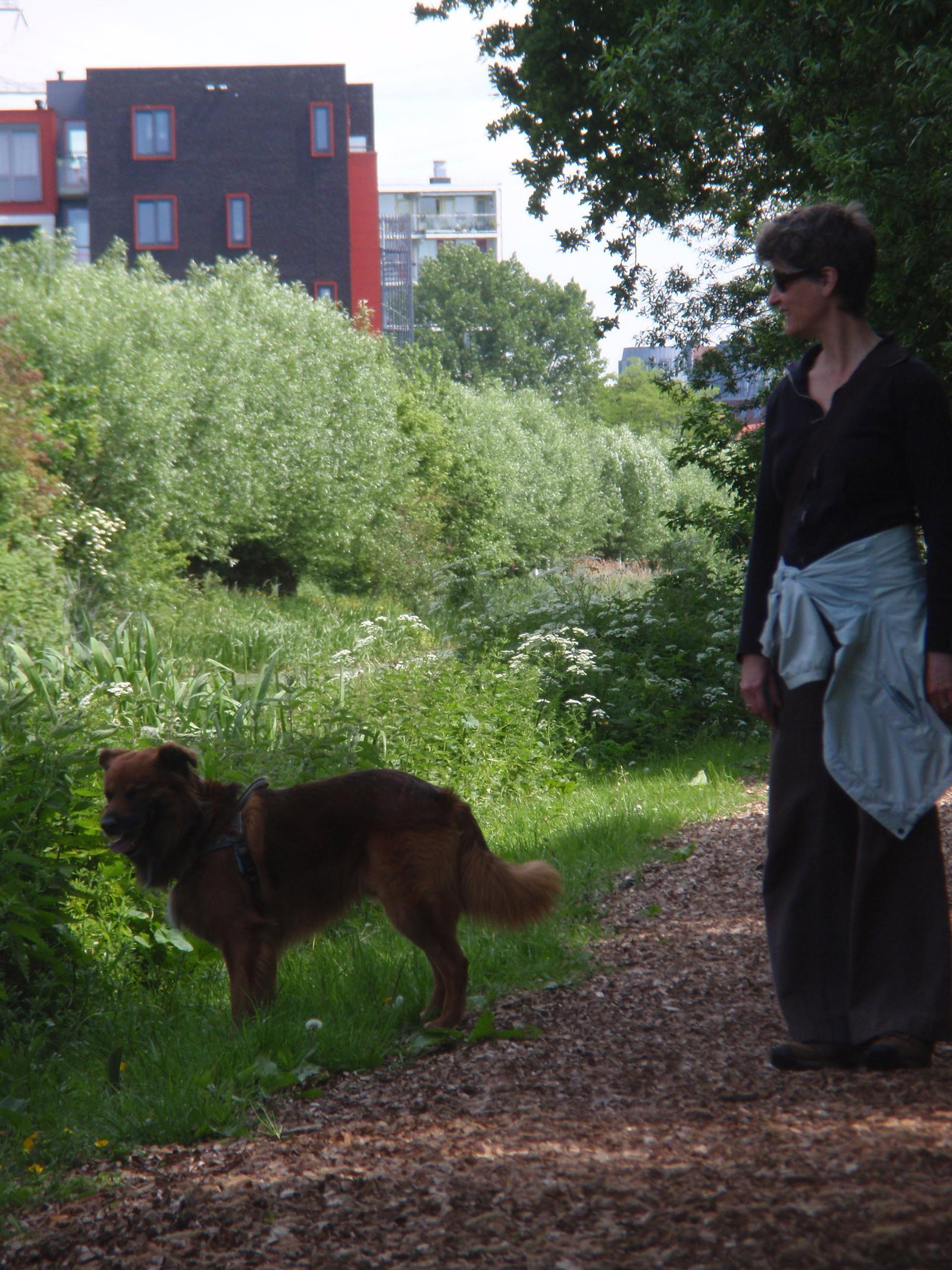 Lena, dierenoppas in Leiden, foto 4