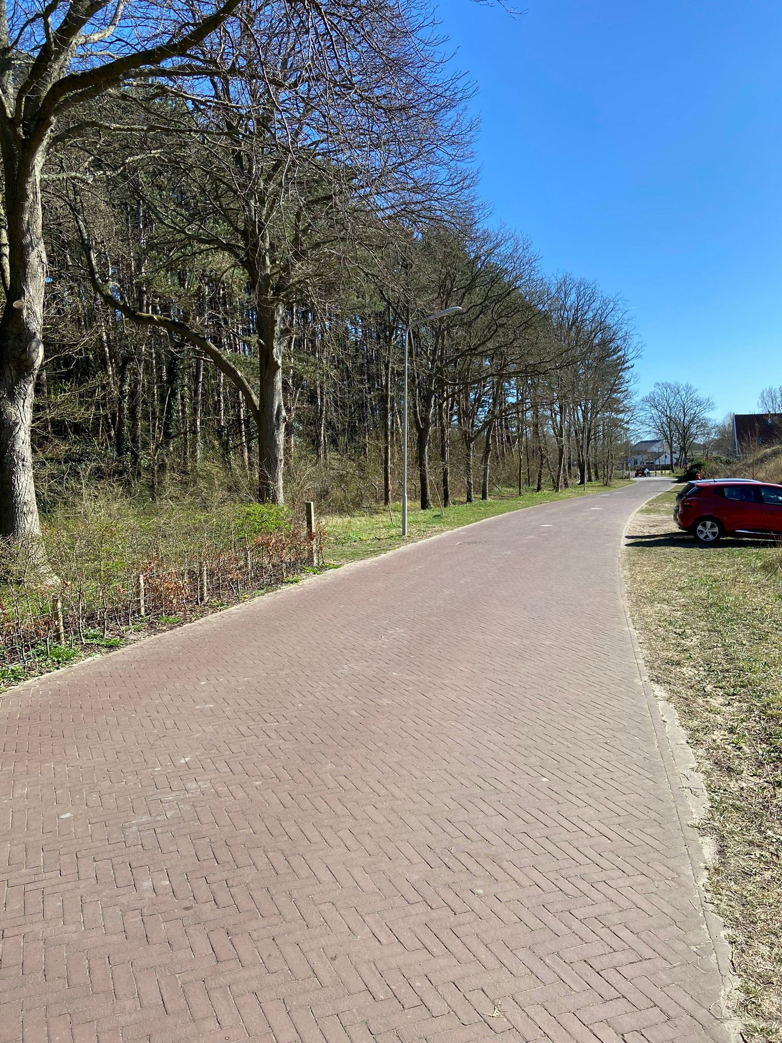 Daphne, pet sitter in Heemskerk, photo 2