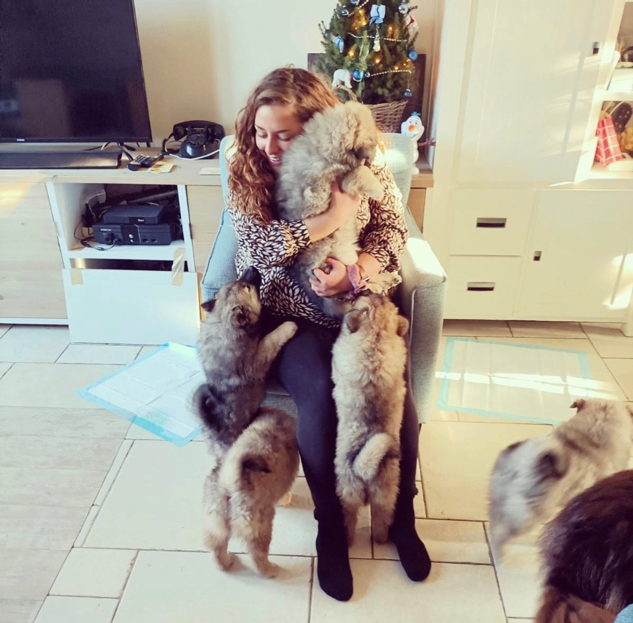 Lisa, pet sitter in Hellevoetsluis, photo 3