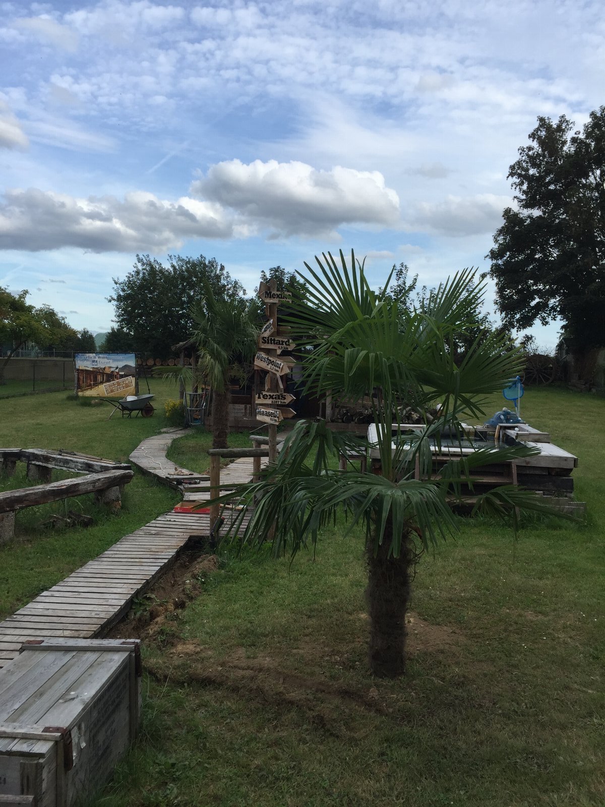 Anneli, pet sitter in Ockenfels, photo 2