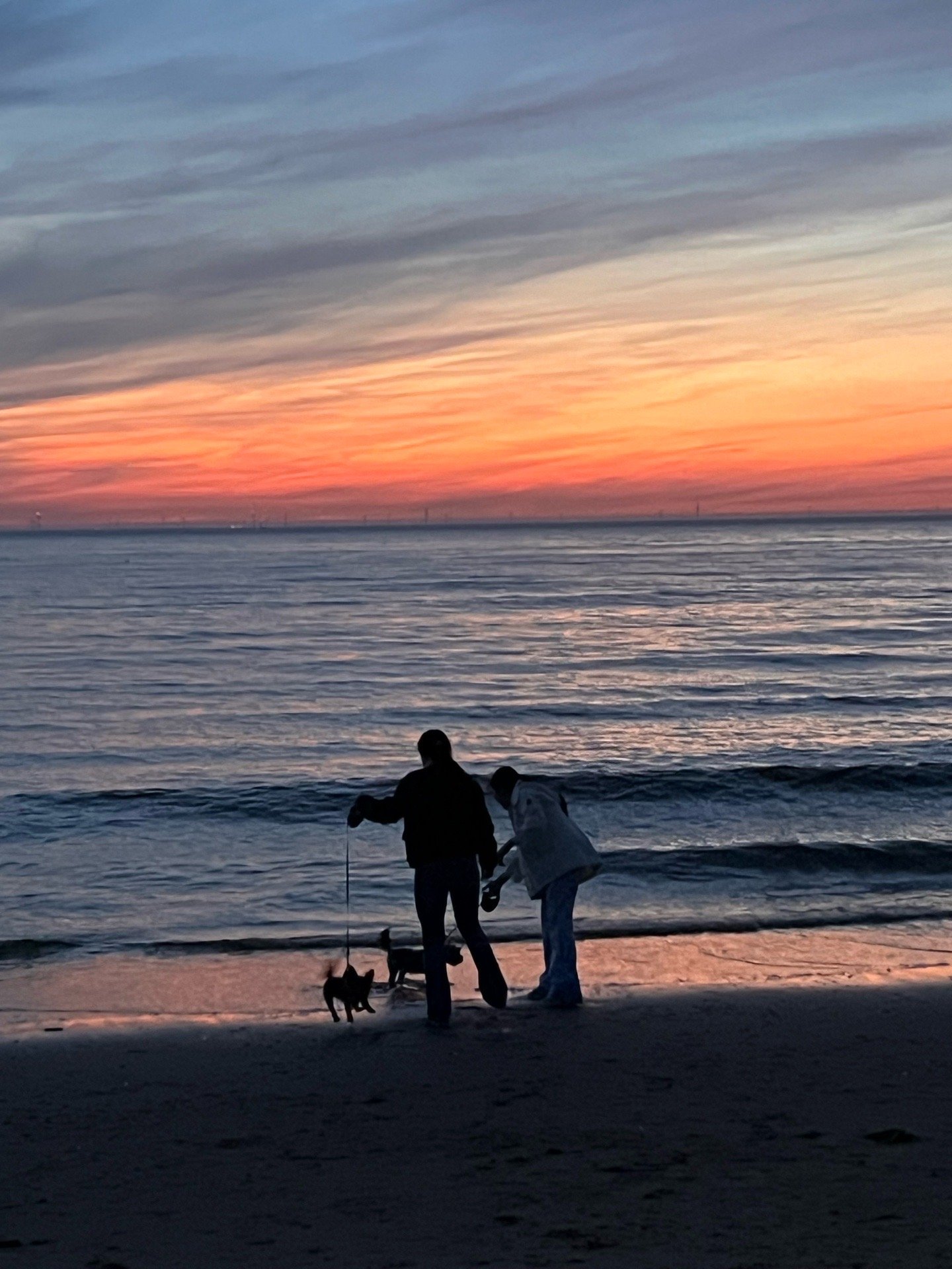 Ju&Immy, pet sitter in Wassenaar, photo 2
