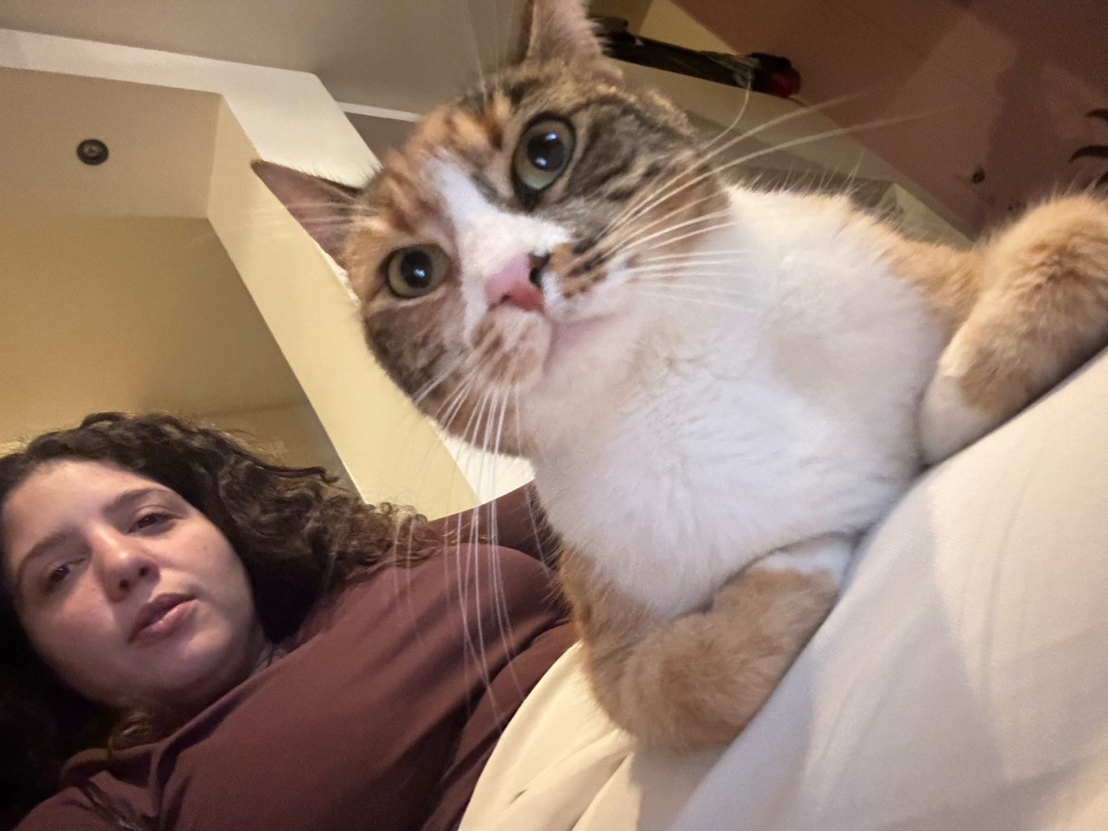 Georgia, pet sitter in Rotterdam, photo 3