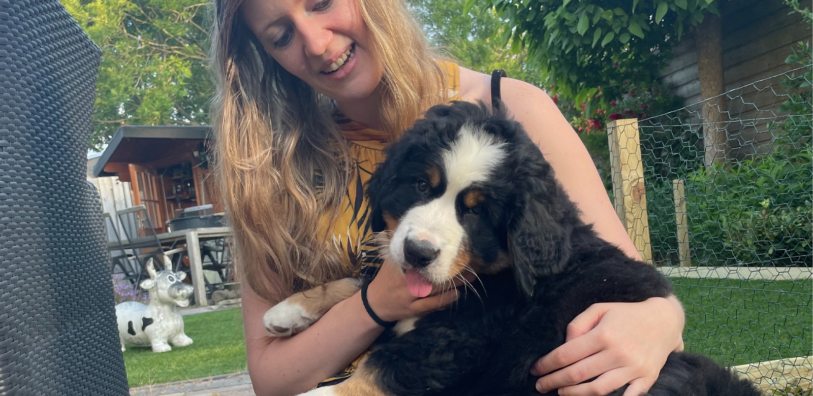Yvonne, pet sitter in Sliedrecht, photo 1