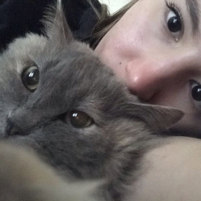 Elvina, pet sitter in Amsterdam, photo 1