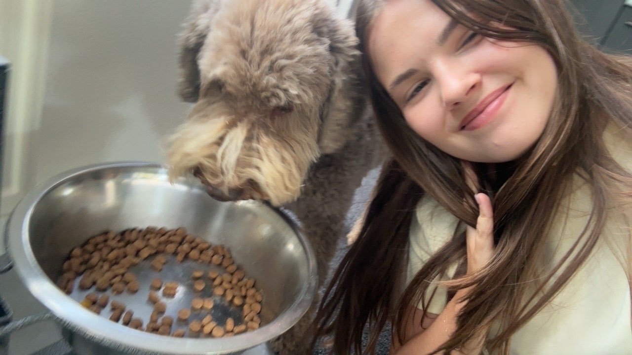 Mirthe, pet sitter in Gorinchem, photo 4