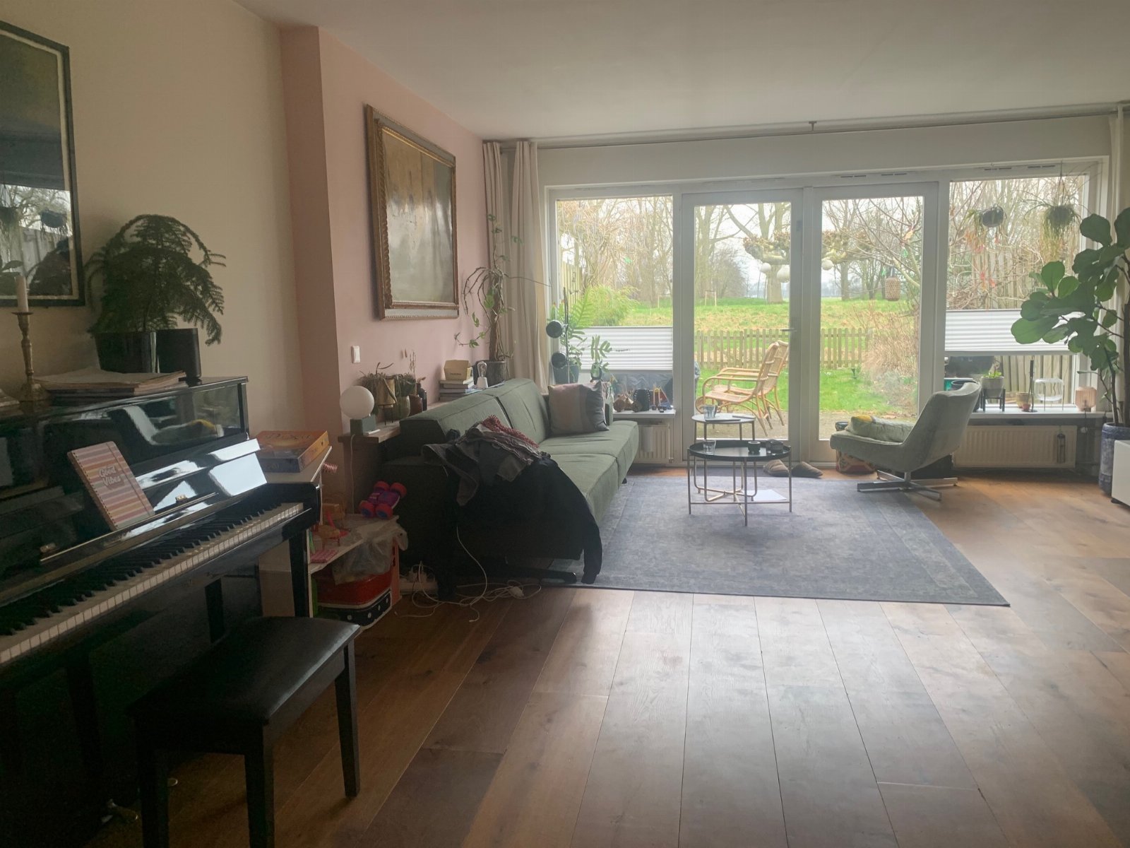 Jill, dierenoppas in Weesp, foto 3