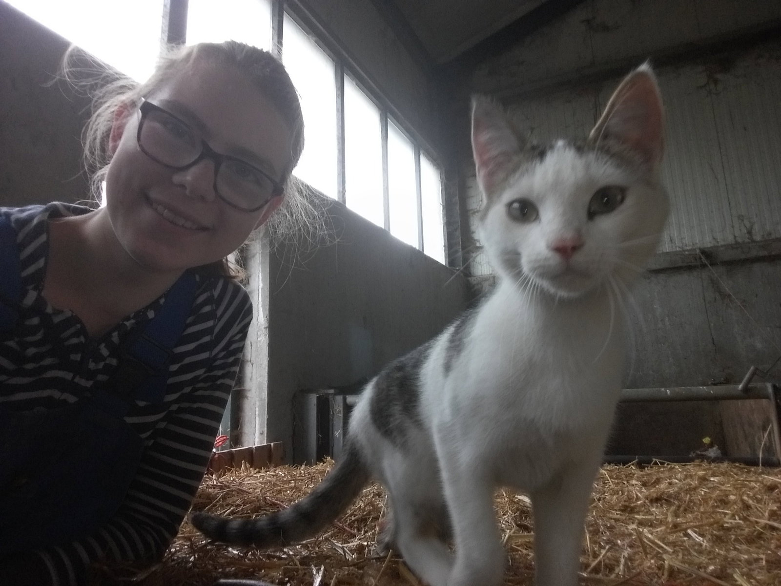 Iris, dierenoppas in Best, foto 3