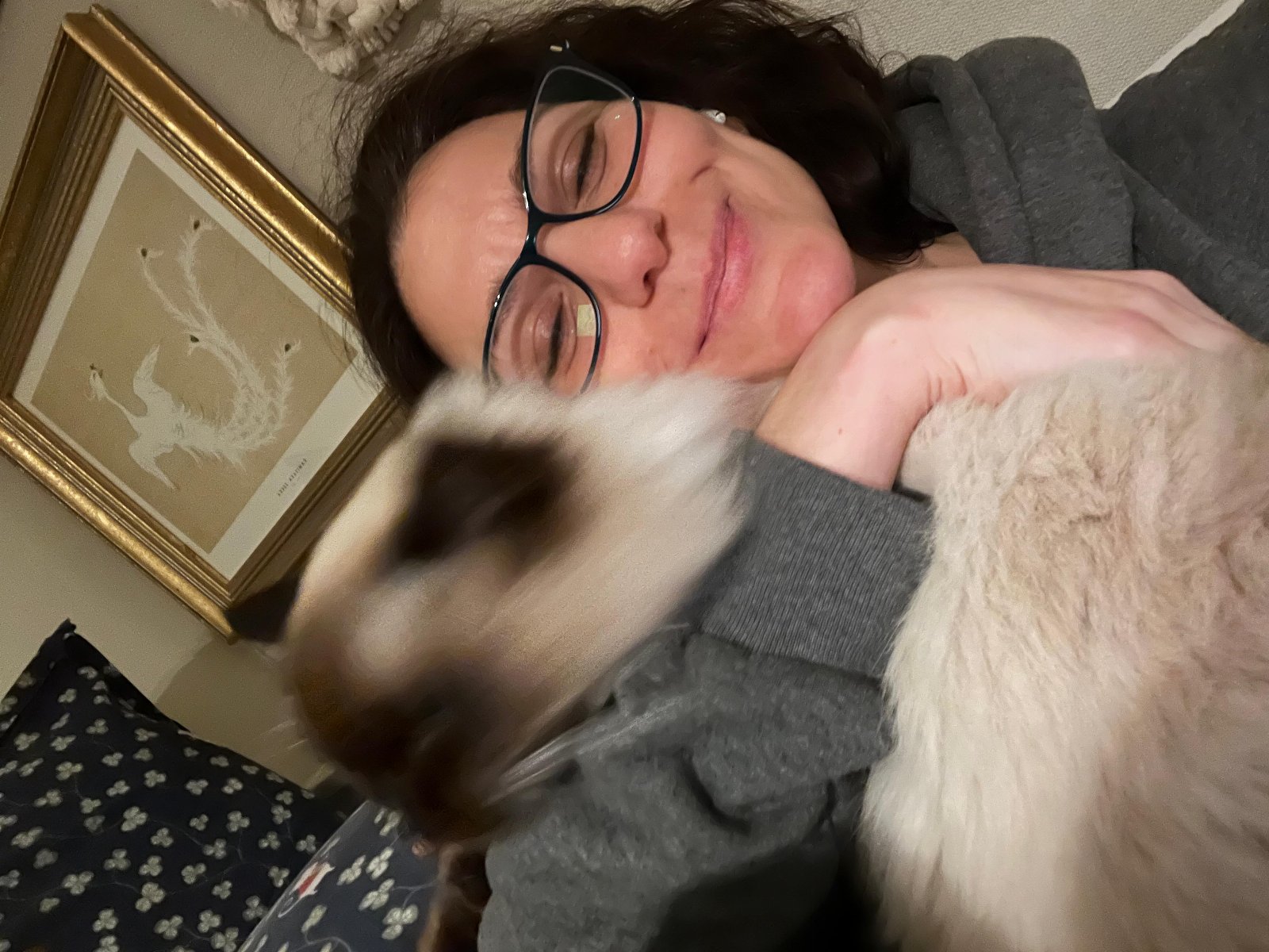 Lara, pet sitter in Amsterdam, photo 3