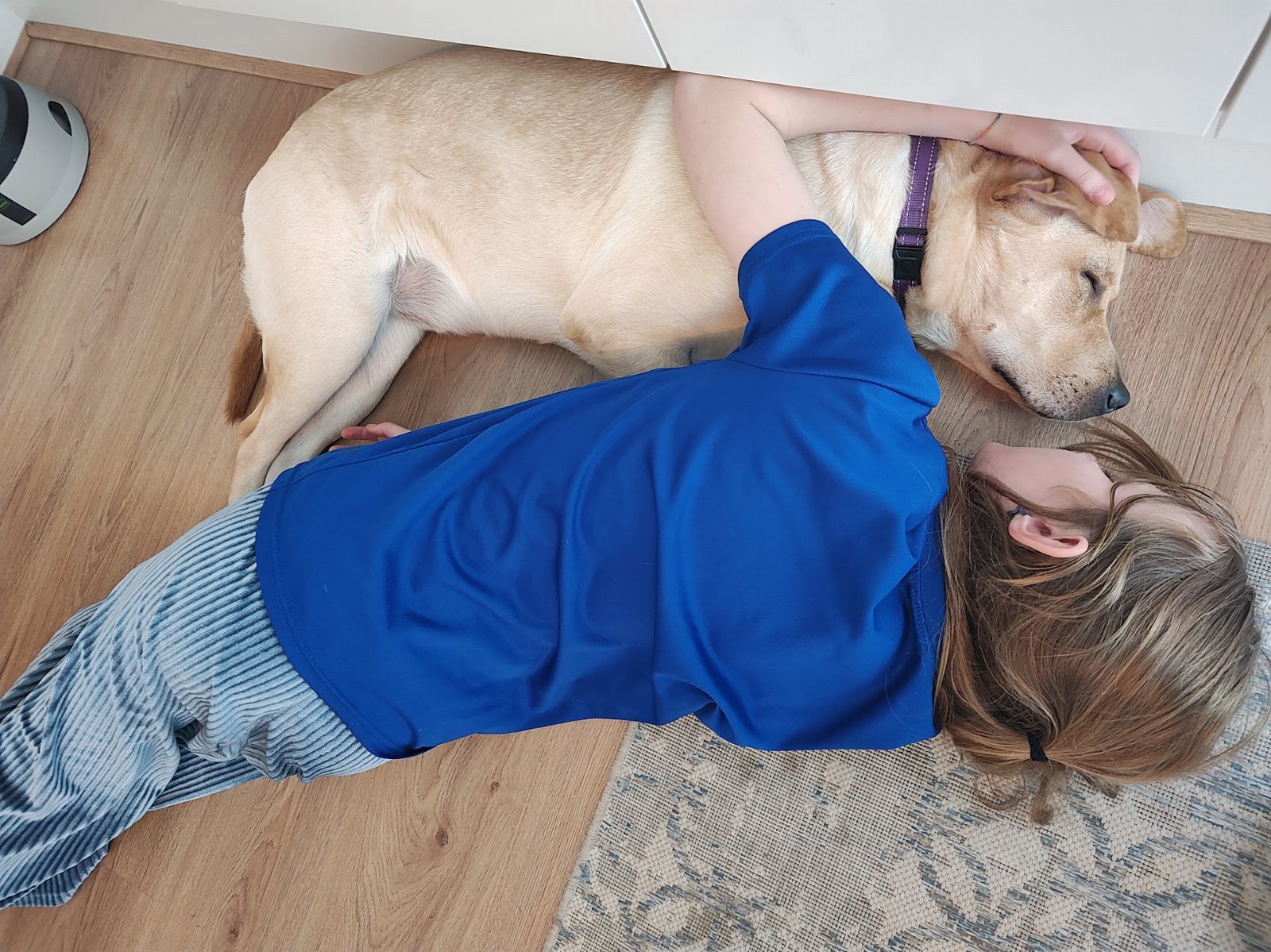 Jose, pet sitter in Utrecht, photo 2