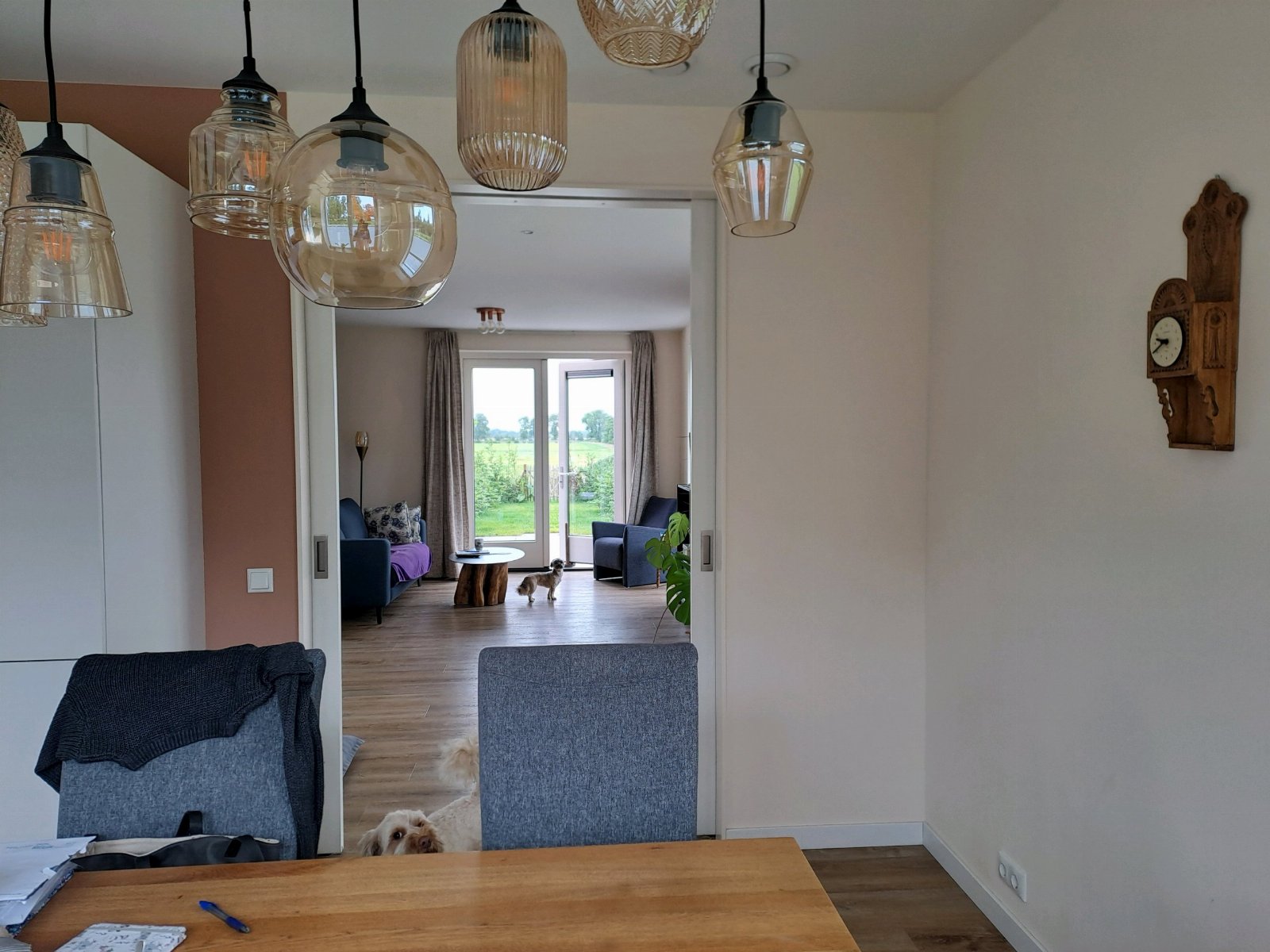Grietje, dierenoppas in Frieschepalen, foto 4
