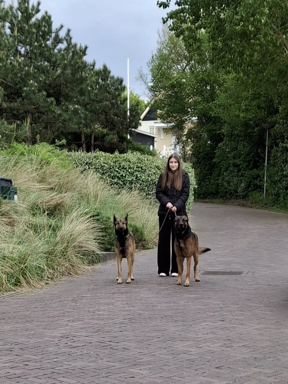 Noa, pet sitter in Hoeven, photo 3