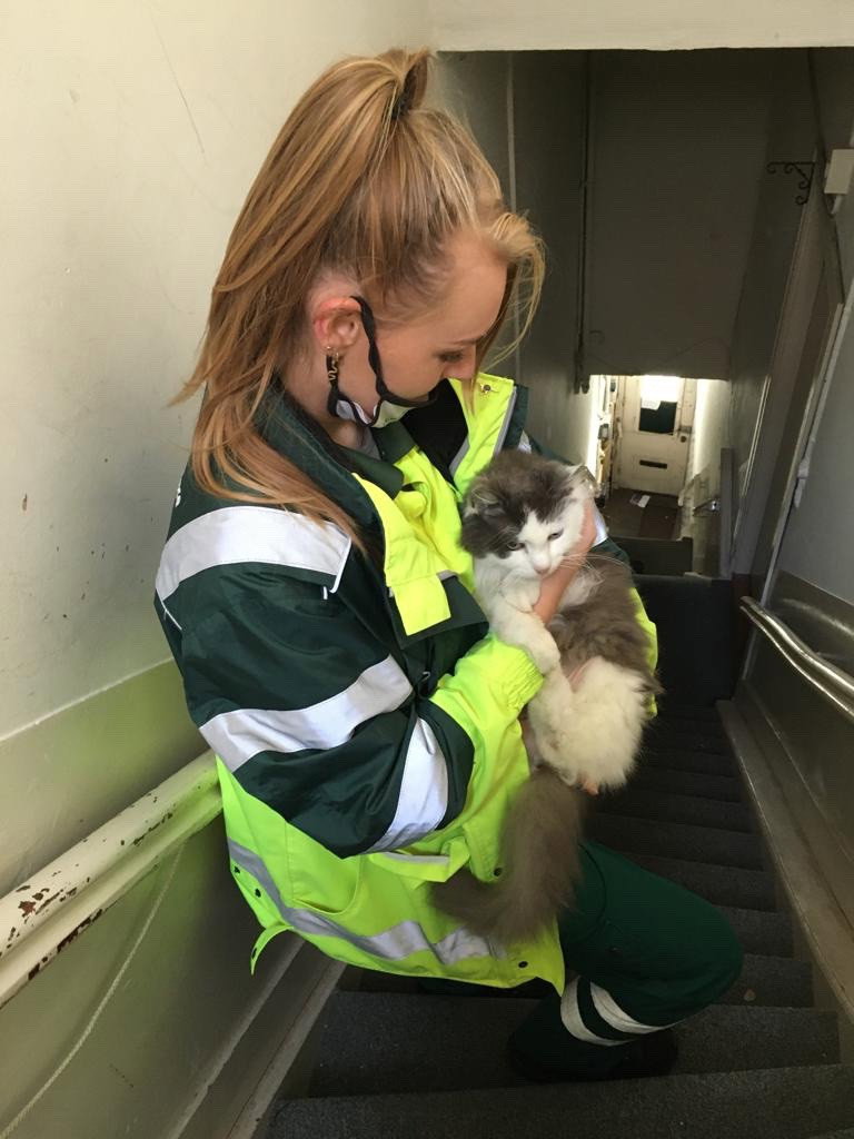 Celine, pet sitter in Assendelft, photo 1