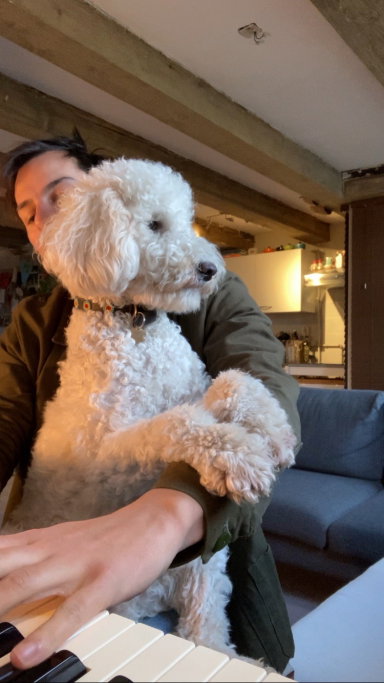 Rutger, pet sitter in Amsterdam, photo 2