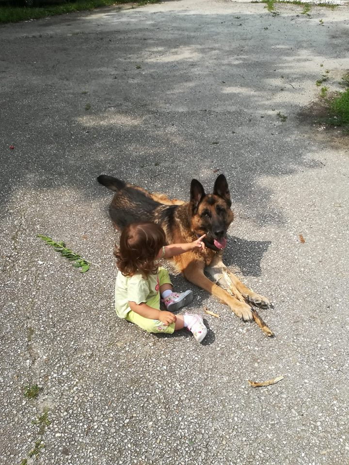Sunny, pet sitter in Tilburg, photo 1