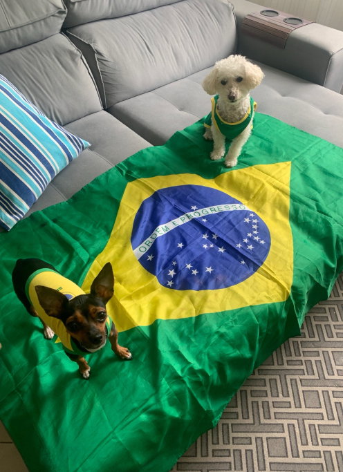 Danielle, pet sitter in Rotterdam, photo 2