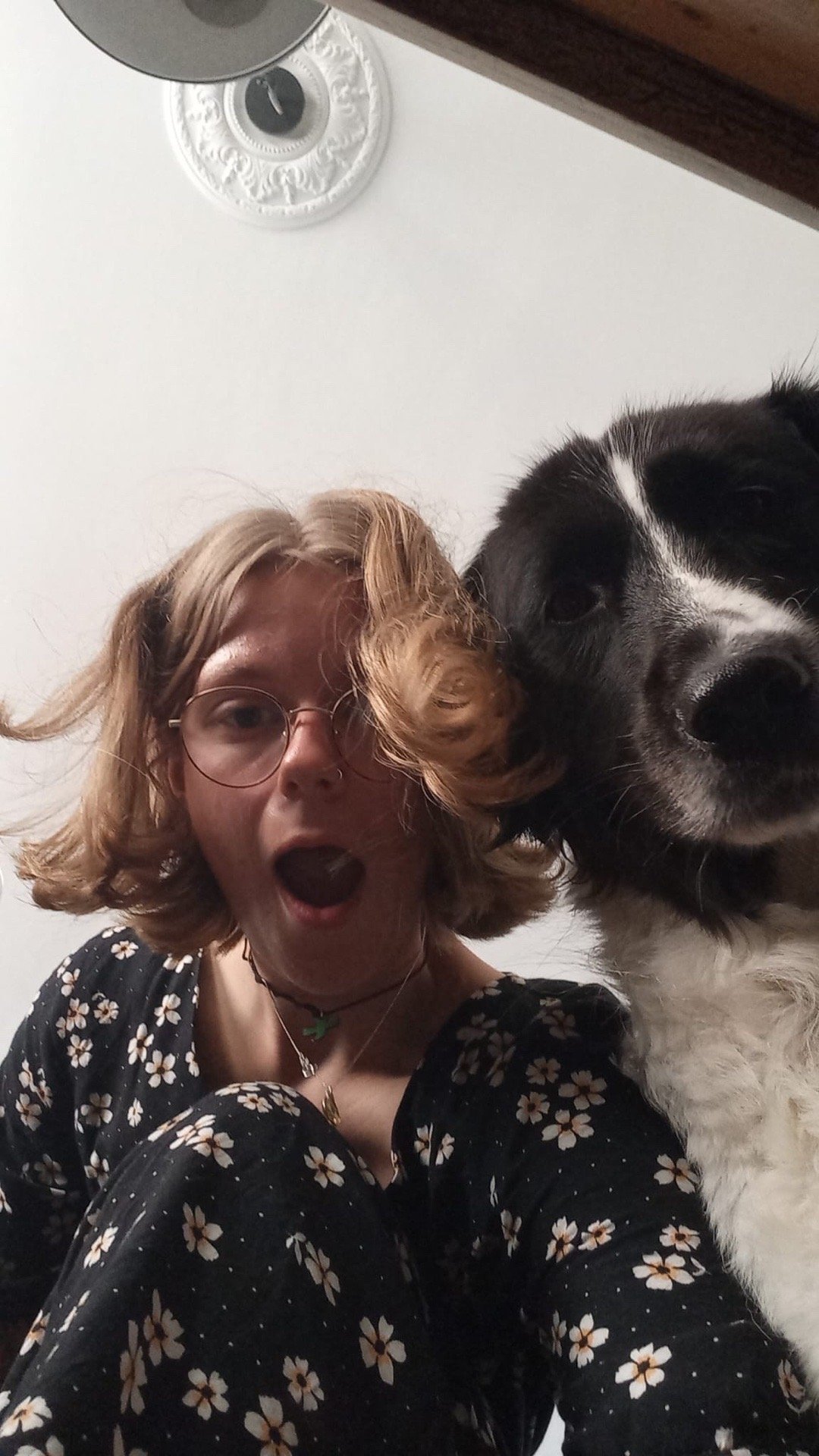 Nikita en, dierenoppas in Voorburg, foto 2