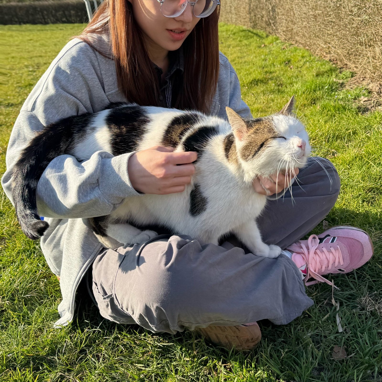 Xinyi, pet sitter in Leiden, photo 3