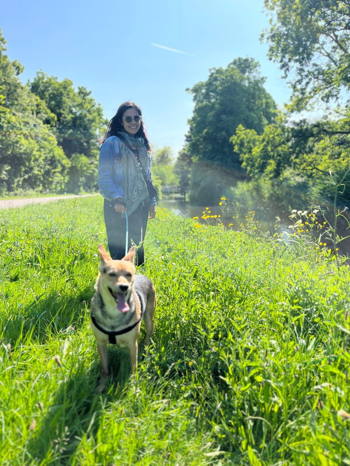 Alba, pet sitter in Rotterdam, photo 2